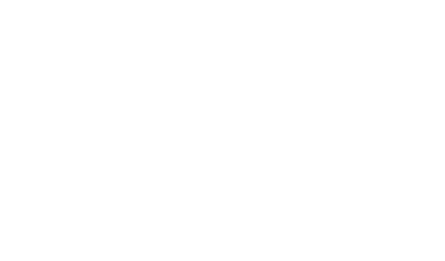 Lunch Bunch